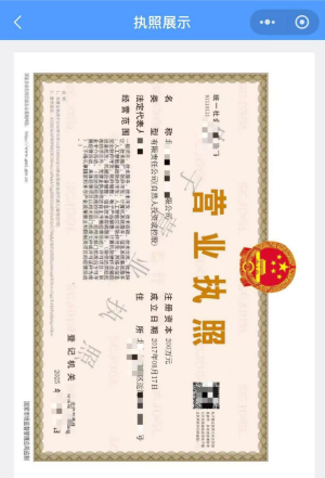 查看电子营业执照具体内容