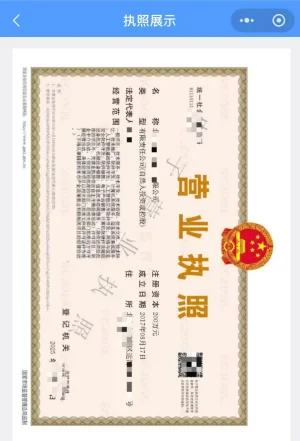 查看电子营业执照具体内容